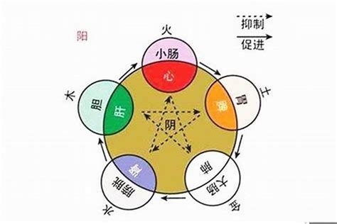 五行屬什麼|如何知道一個人的五行屬什么